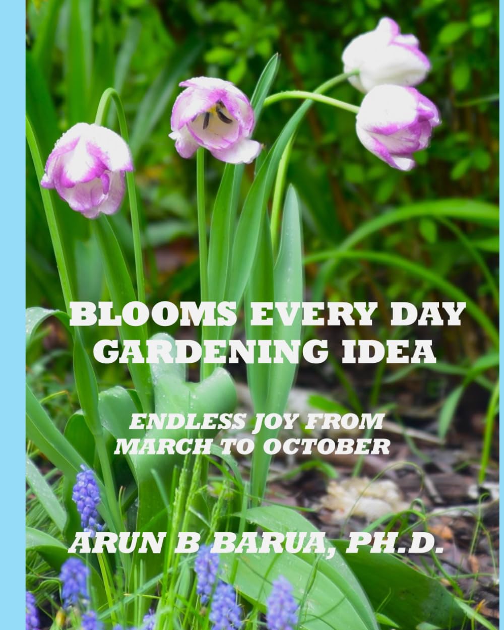 BLOOMS EVERY DAY GARDENING IDEA: ENDLESS JOY FROM MARCH TO OCTOBER baixar livro de graça