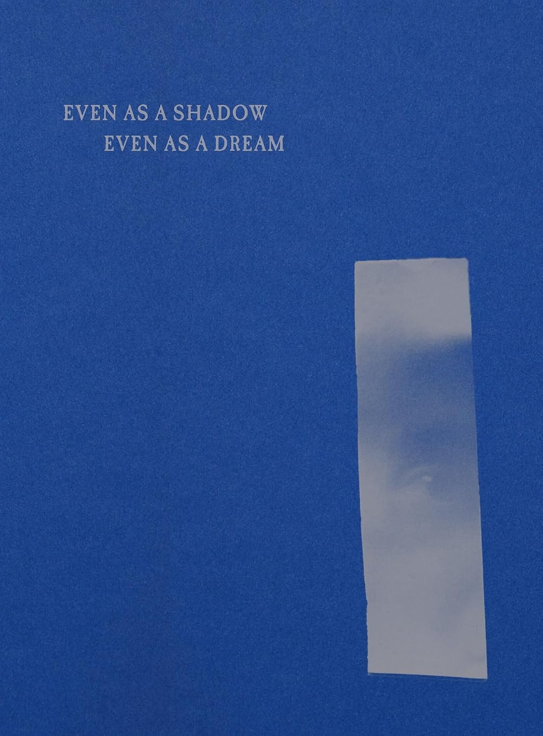 Even as a Shadow, Even as a Dream baixar livro de graça