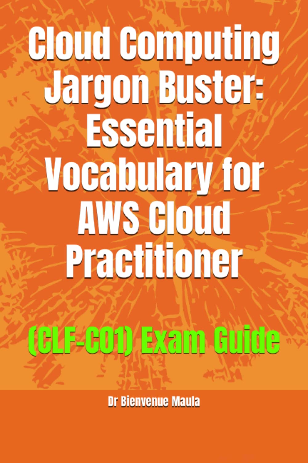 ler totalmente Cloud Computing Jargon Buster: Essential Vocabulary for AWS Cloud Practitioner