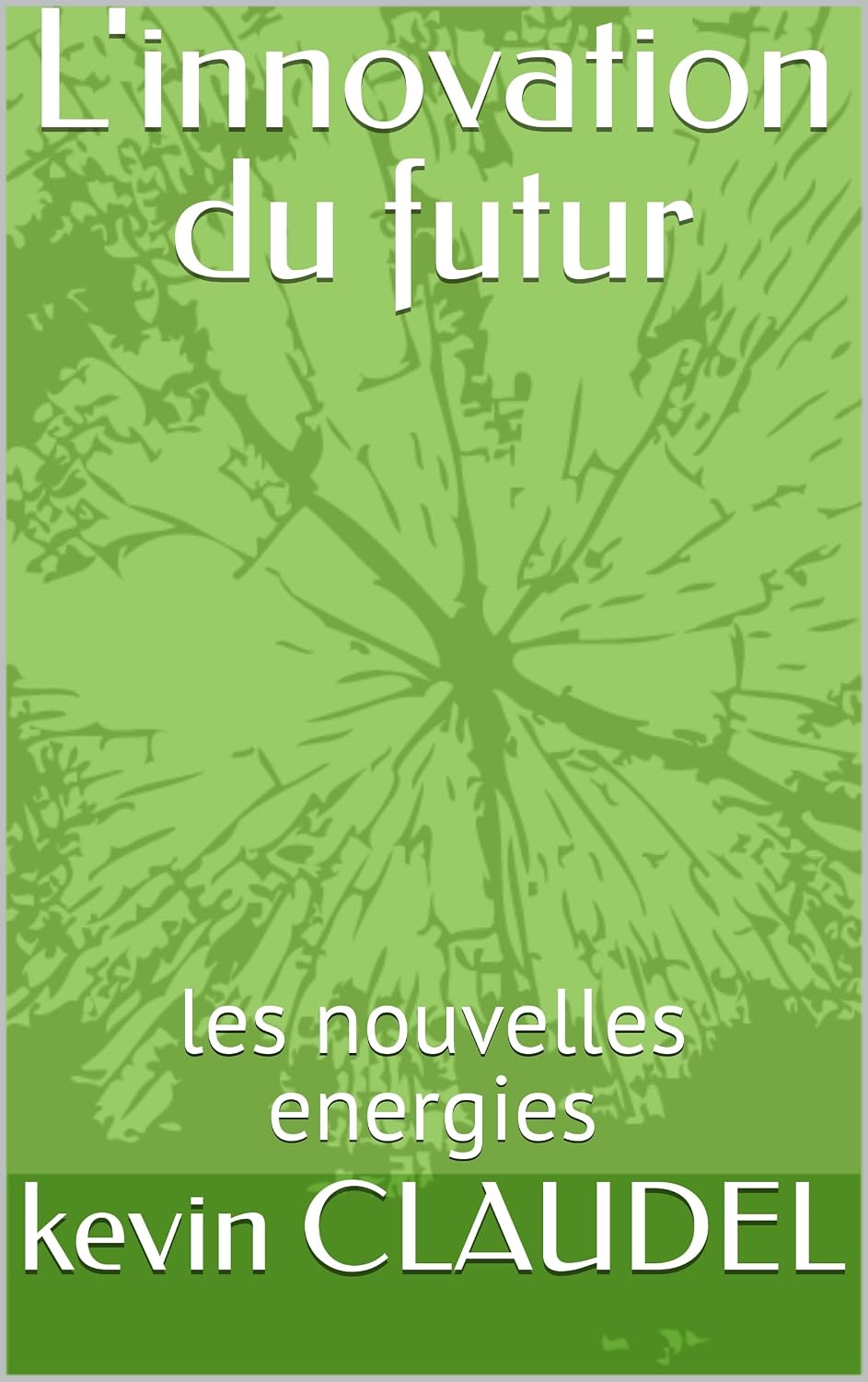 L'innovation du futur: les nouvelles energies (French Edition) baixar o livro de graça