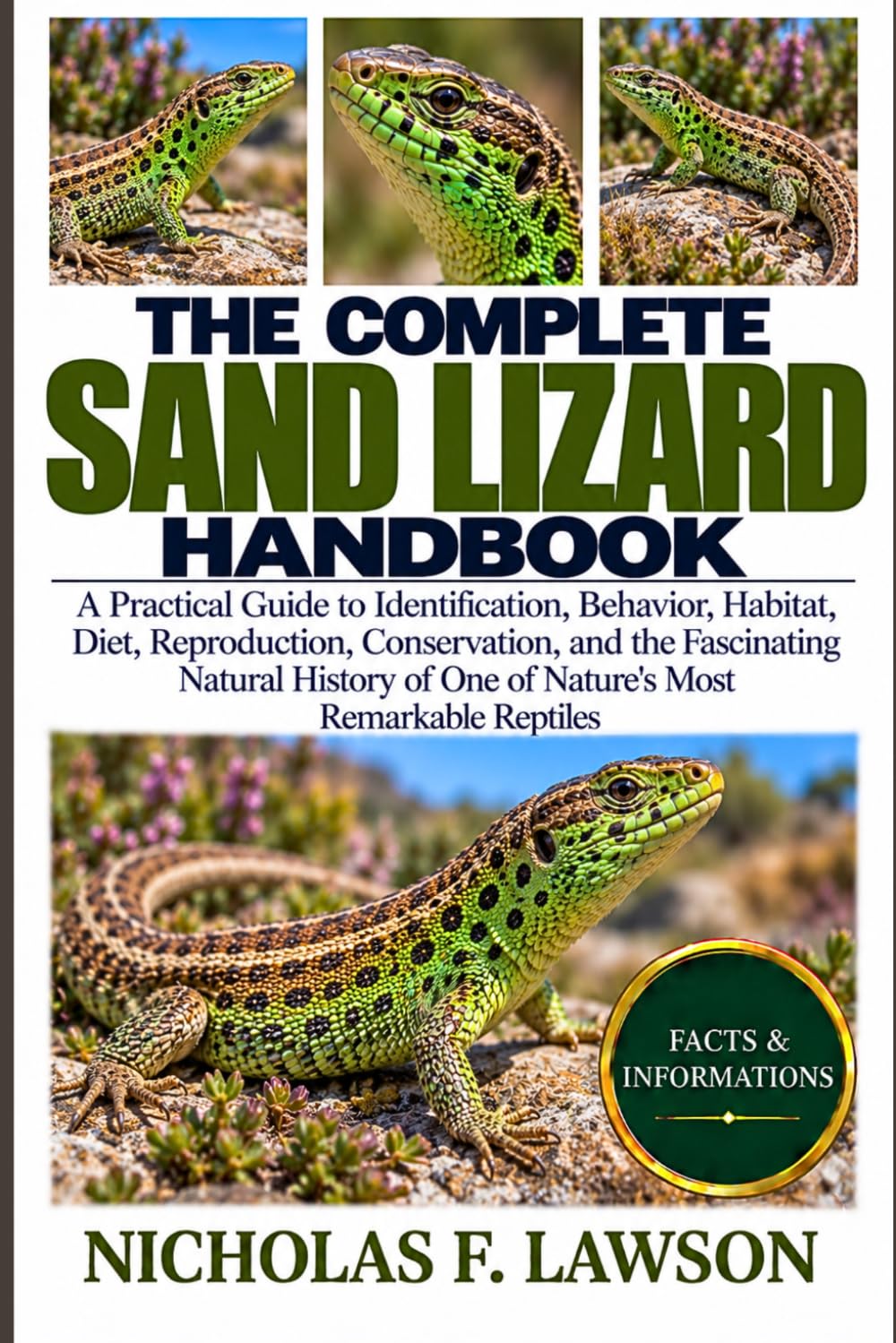 capítulo por capítulo baixar The Complete Sand Lizard Handbook: A Practical Guide to Identification, Behavior, Habitat, Diet, Reproduction, Conservation, and the Fascinating... of One of Nature's Most Remarkable Reptiles