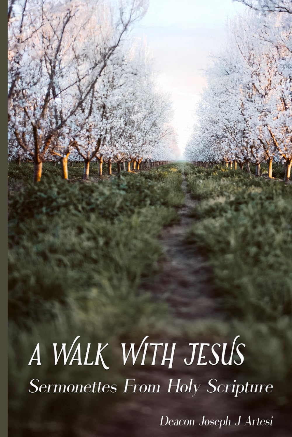 A Walk With Jesus: Sermonettes From Holy Scripture baixar o livro de graça