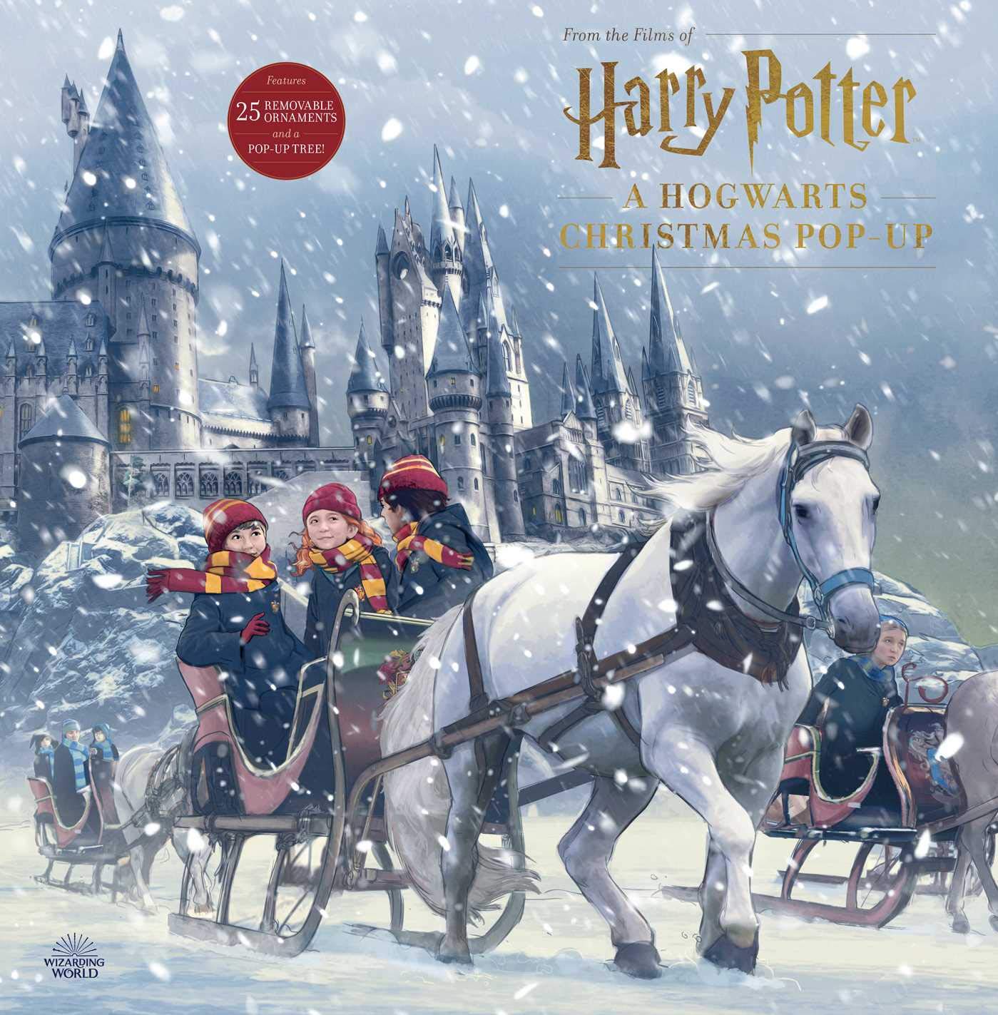 Harry Potter: A Hogwarts Christmas Pop-Up (Advent Calendar) baixar o livro de graça