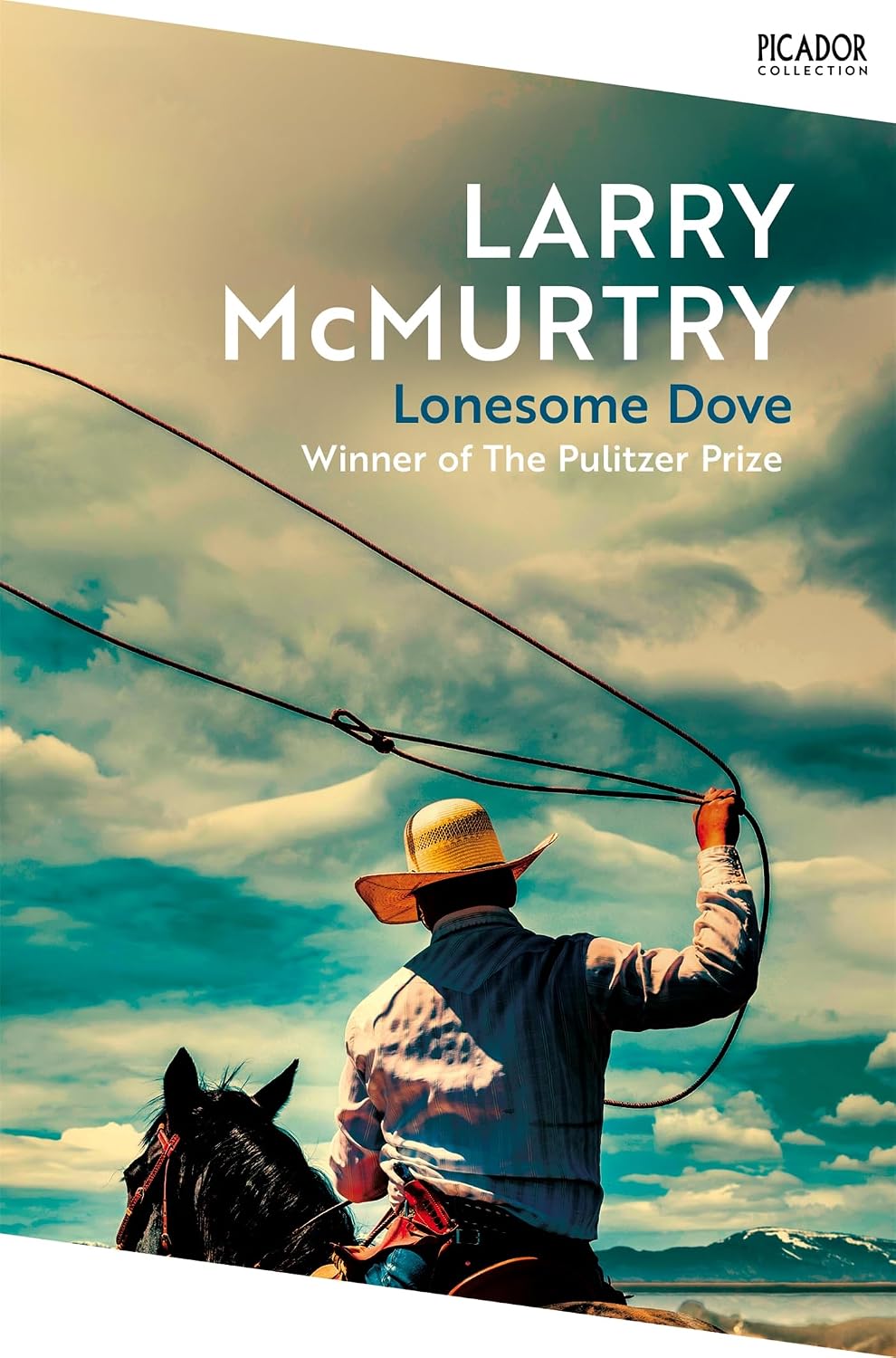 Lonesome Dove: The Pulitzer Prize Winning Novel Set in the American West (English Edition) baixar livro de graça