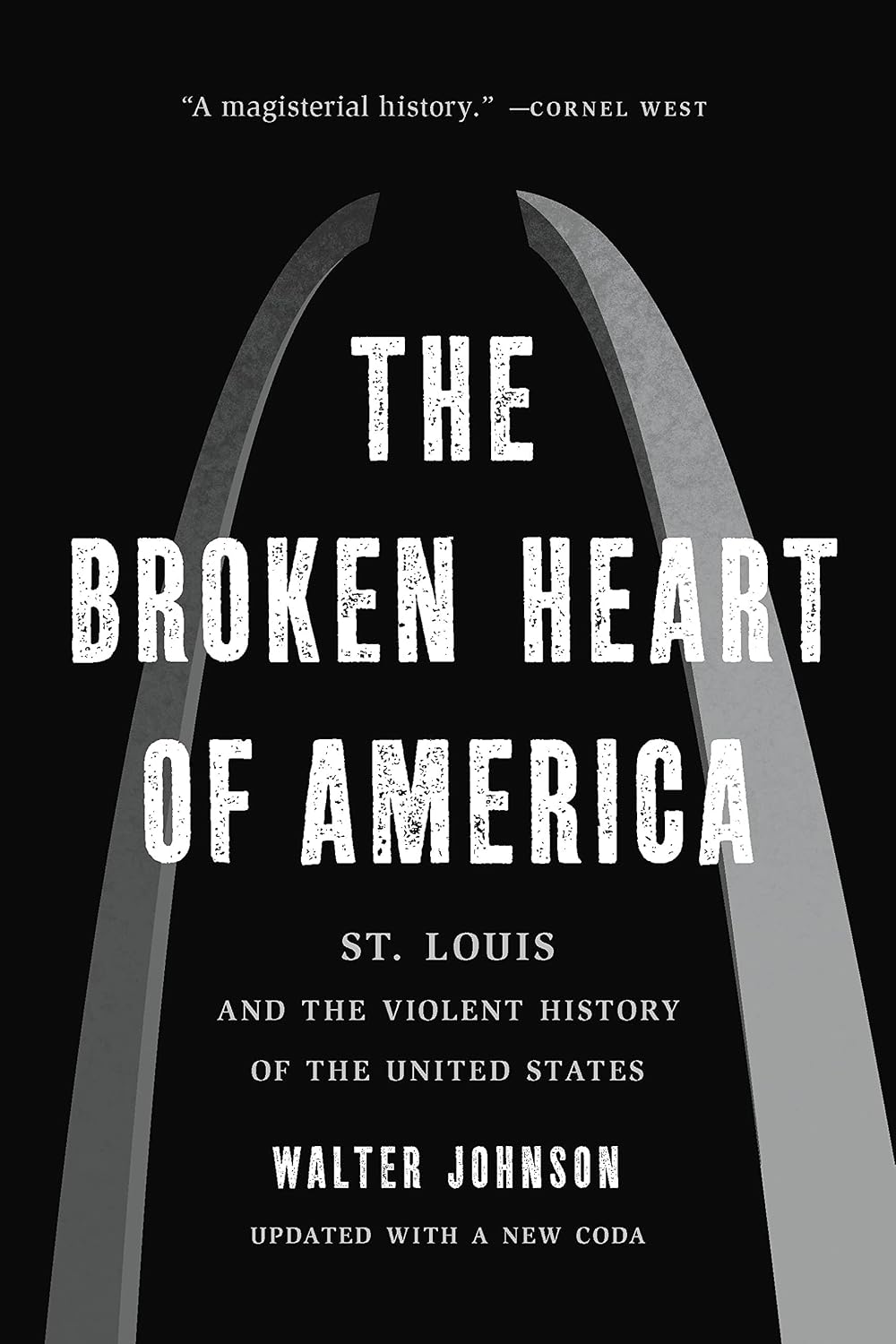 The Broken Heart of America: St. Louis and the Violent History of the United States baixar o livro de graça