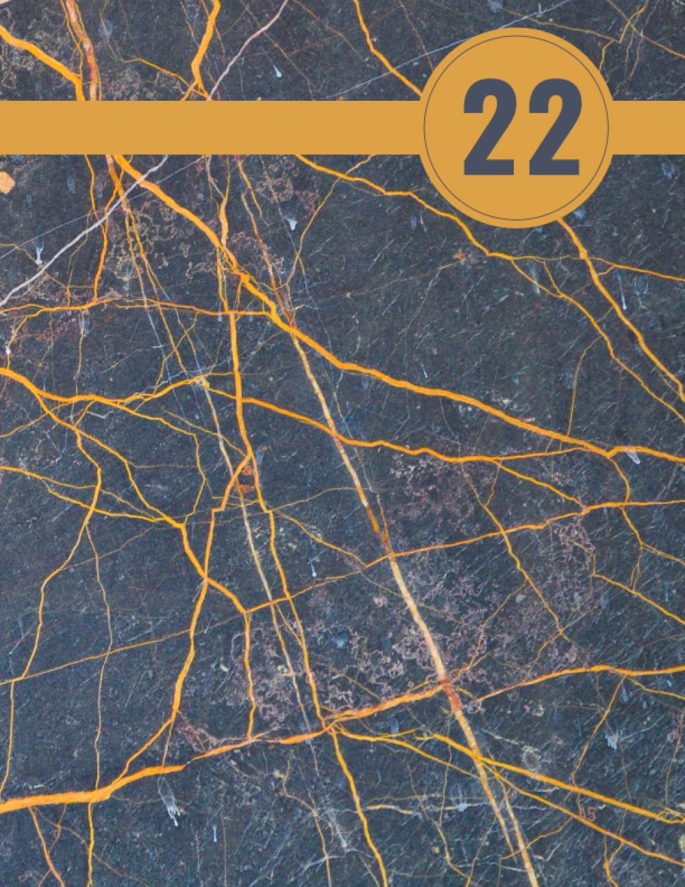 capítulo por capítulo baixar KALENDER: Terminplaner | Mit Uhrzeiten | 1 Tag = 1 Seite | Tagesplaner Tagebuch Organizer mit viel Platz für Notizen | A4 |Marble, Marmor |Geschenke für frauen männer (German Edition)