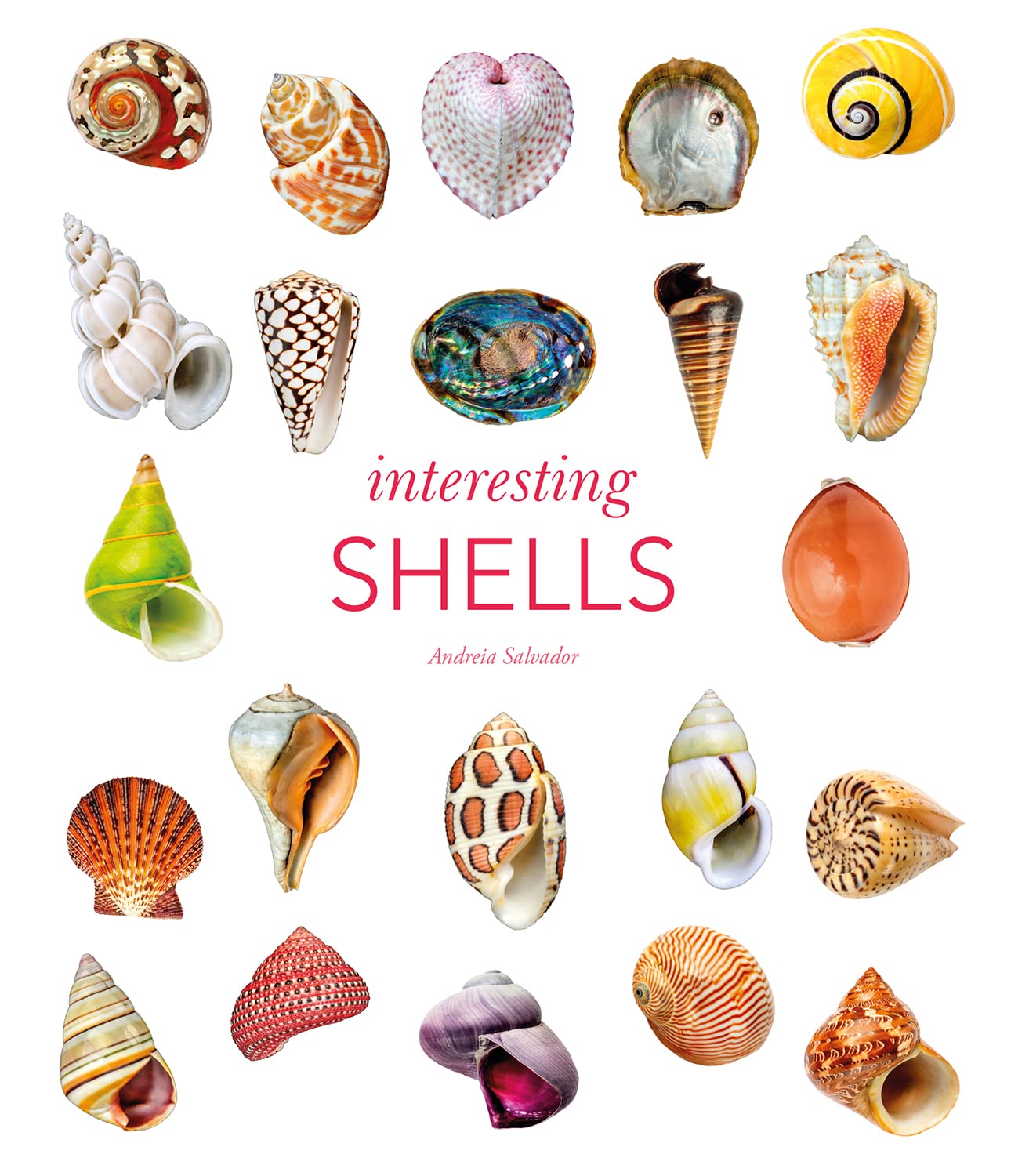 Interesting Shells baixar o livro de graça