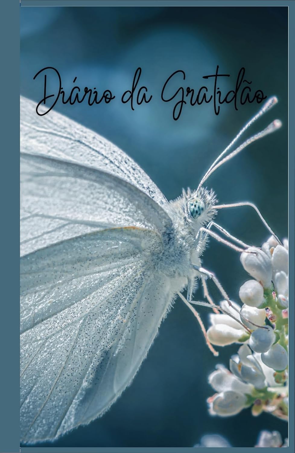 Diário da Gratidão (Portuguese Edition) baixar livro de graça