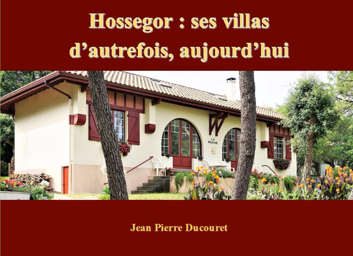 Hossegor: ses villas d’autrefois, aujourd’hui (French Edition) baixar o livro de graça