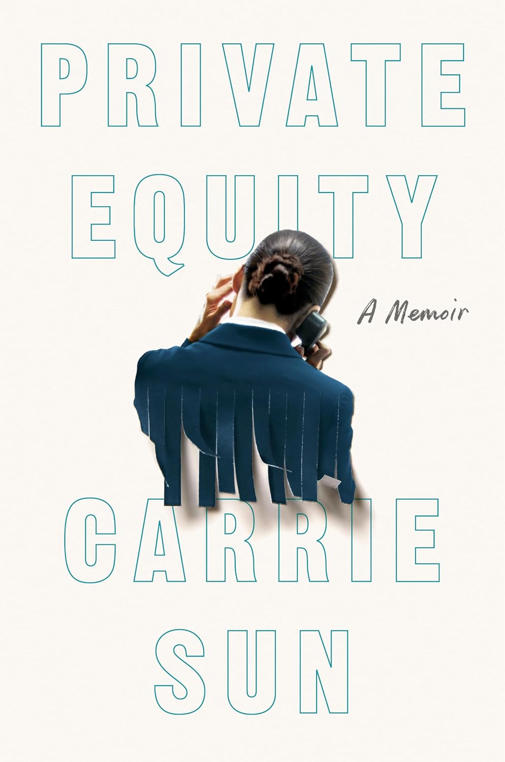 Private Equity: A Memoir baixar o livro de graça