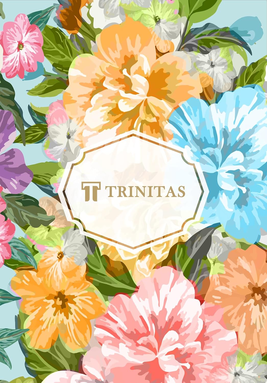 Box Feminilidade Trinitas (4 livros): Contentamento (Nancy Wilson), Virtuosa (Nancy Wilson), Gratidão (Mary K. Mohler), Redimida (Melissa B. Kruger, org.) baixar o livro de graça