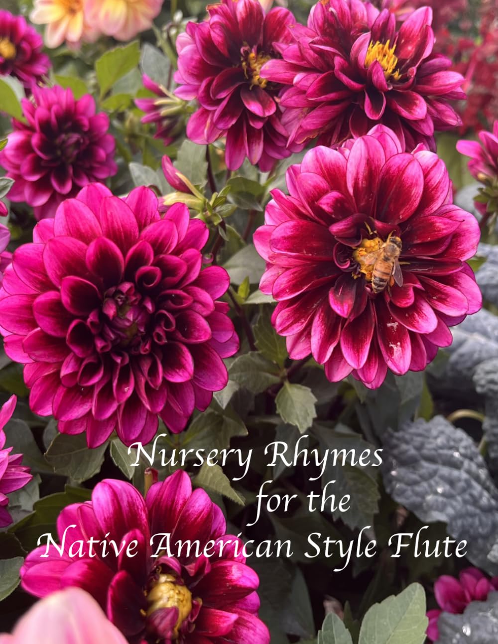 ler totalmente Nursery Rhymes for the Native American Style Flute