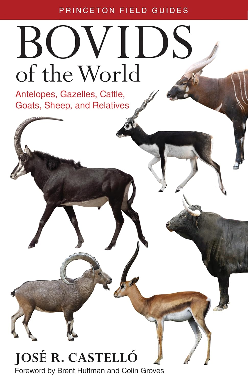 Bovids of the World: Antelopes, Gazelles, Cattle, Goats, Sheep, and Relatives: 104 baixar o livro de graça