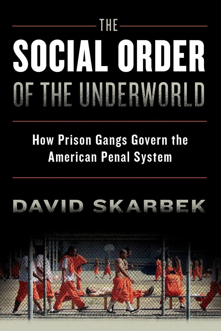 The Social Order of the Underworld: How Prison Gangs Govern the American Penal System baixar livro de graça