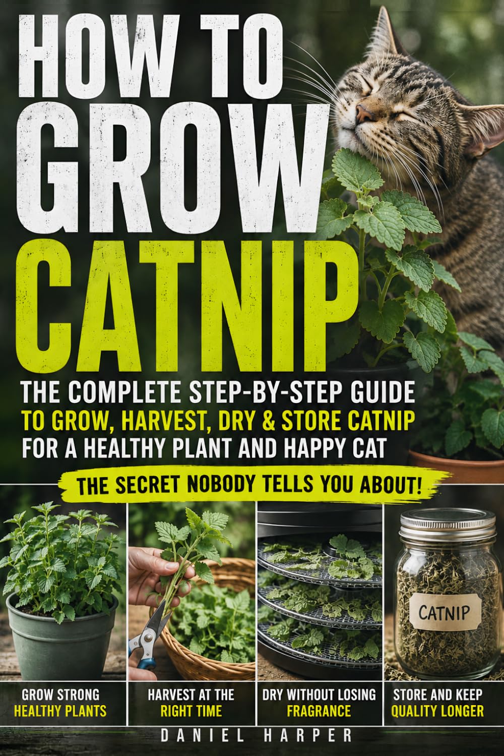 How To Grow Catnip: A Practical Guide to Growing Healthy Herbs From Seed, Containers & Cuttings, With Simple Care, Harvesting, Drying, Storage and Tips for Cat Owners baixar o livro de graça
