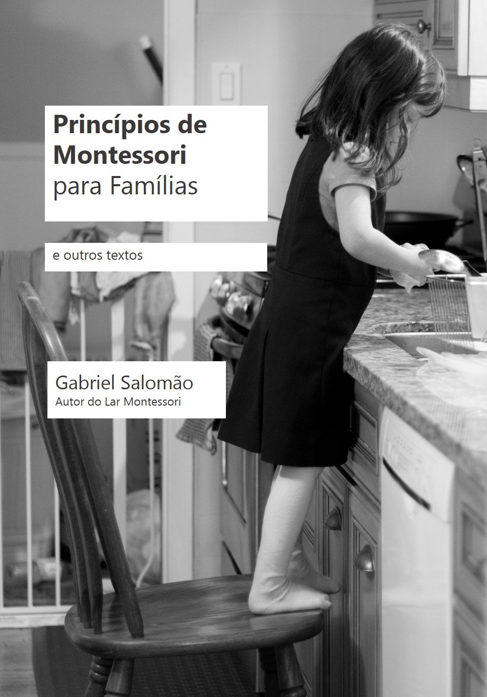 Princípios de Montessori para Famílias e Outros Textos baixar livro de graça