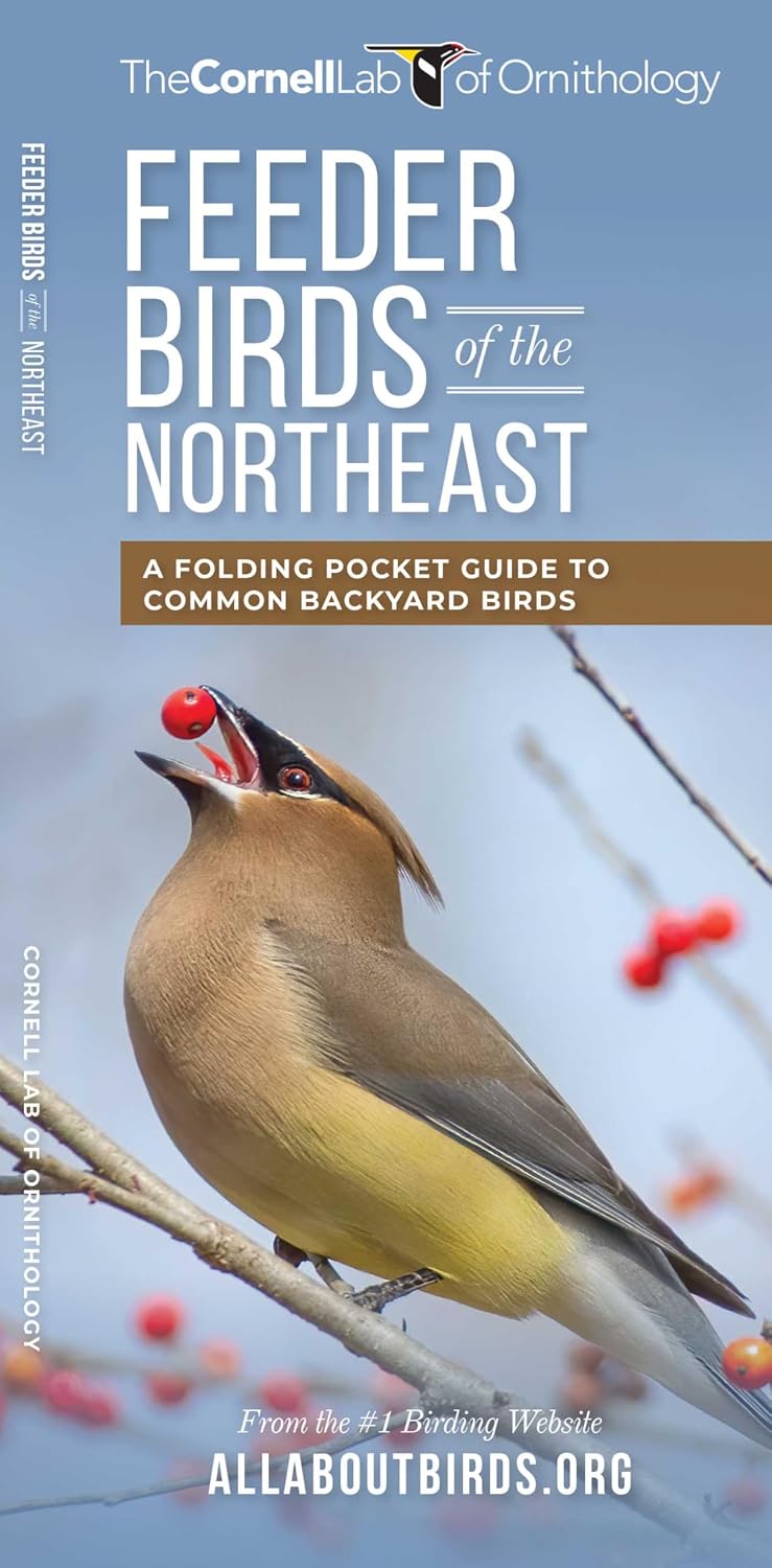 capítulo por capítulo baixar Feeder Birds of the Northeast: A Folding Pocket Guide to Common Backyard Birds