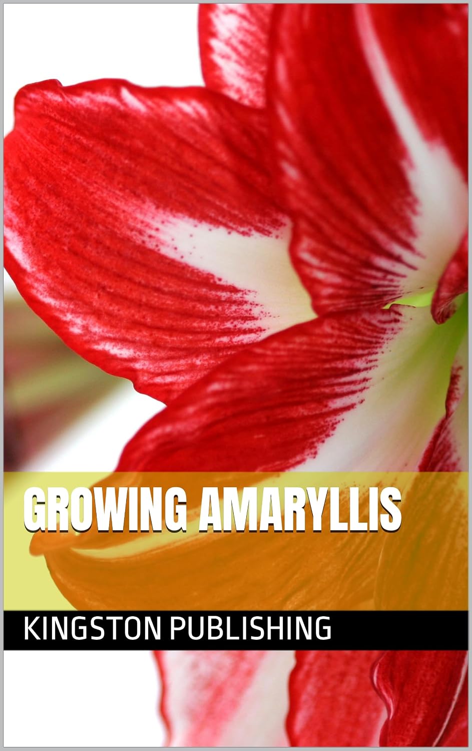 Beginner's Guide to Growing Amaryllis (Flowers) (English Edition) baixar o livro de graça