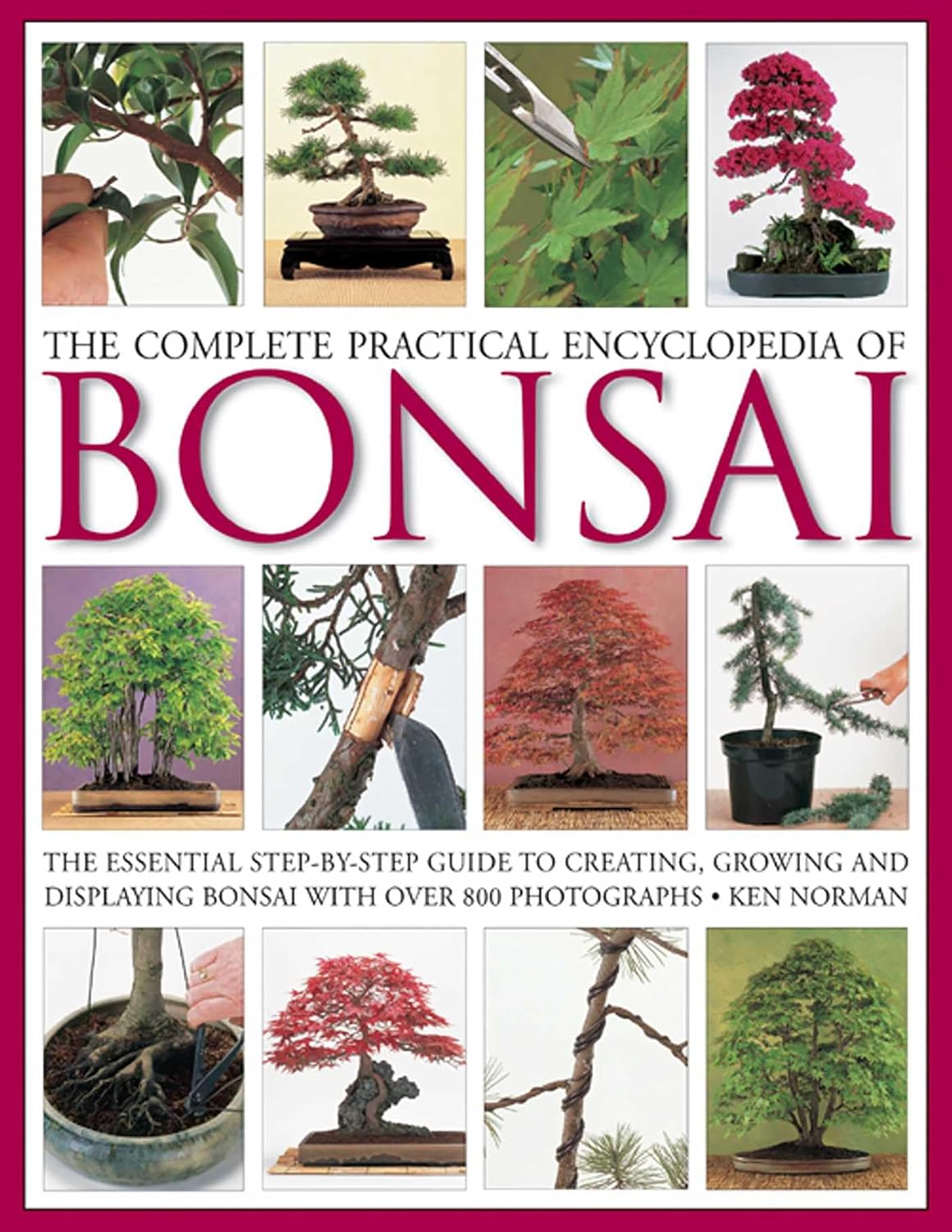capítulo por capítulo baixar The Complete Practical Encyclopedia of Bonsai: The Essential Step-By-Step Guide to Creating, Growing, and Displaying Bonsai with Over 800 Photographs