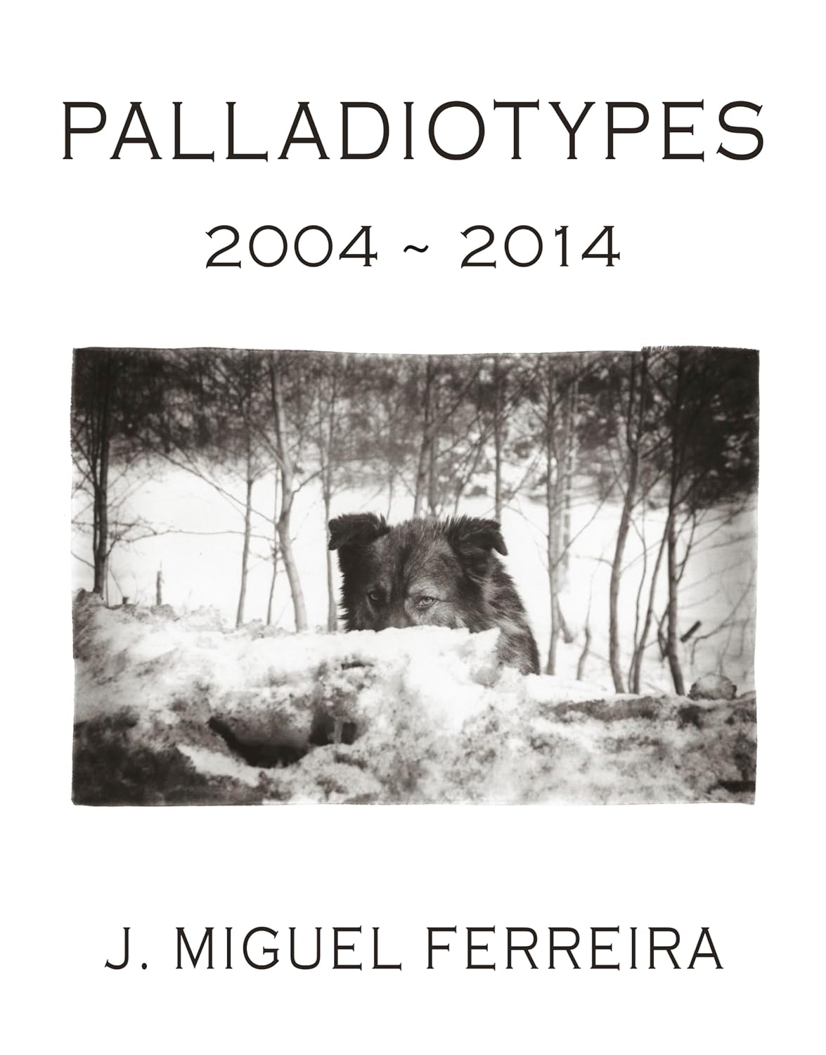 ler totalmente PALLADIOTYPES: 2004 ~ 2014 (English Edition)