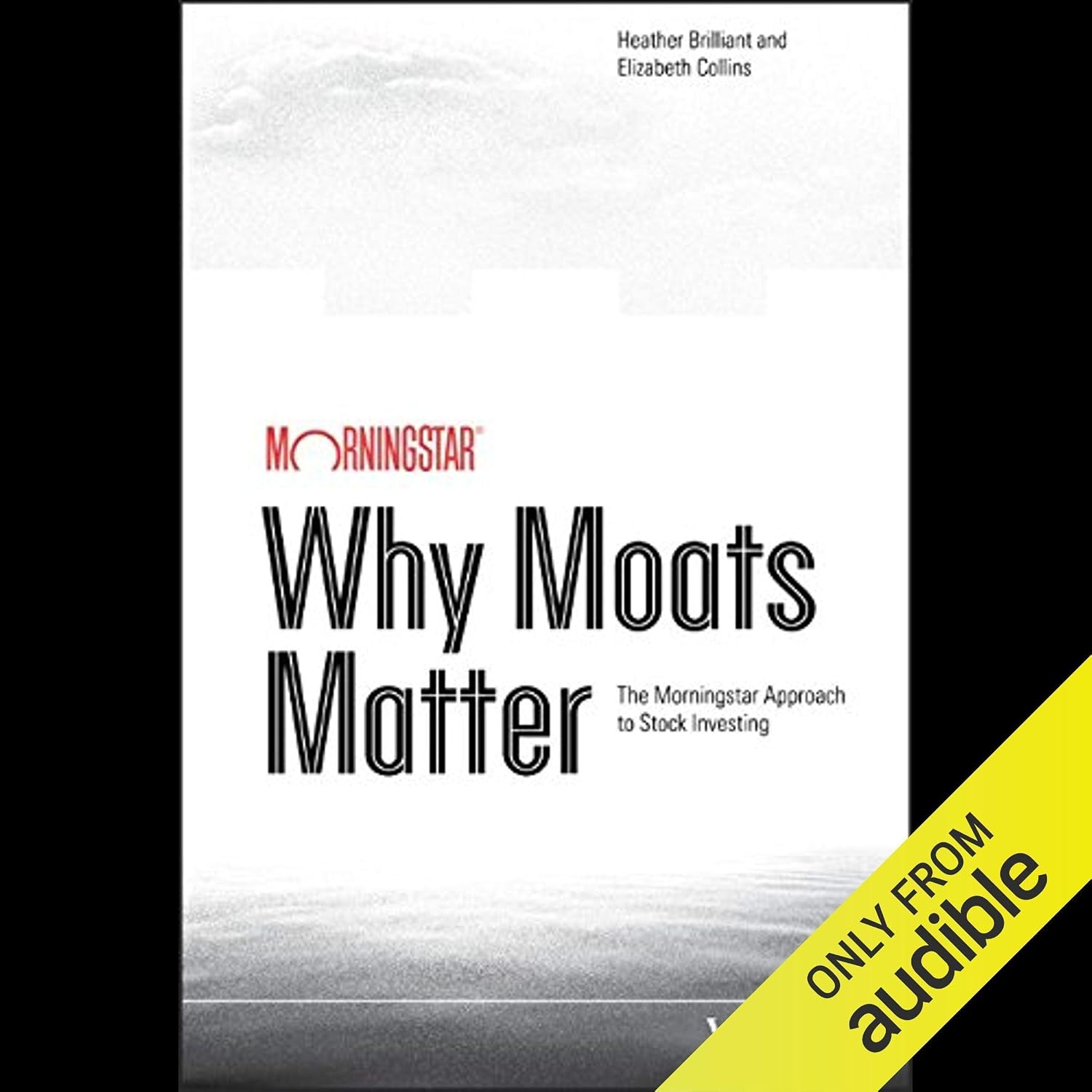 Why Moats Matter: The Morningstar Approach to Stock Investing baixar livro de graça