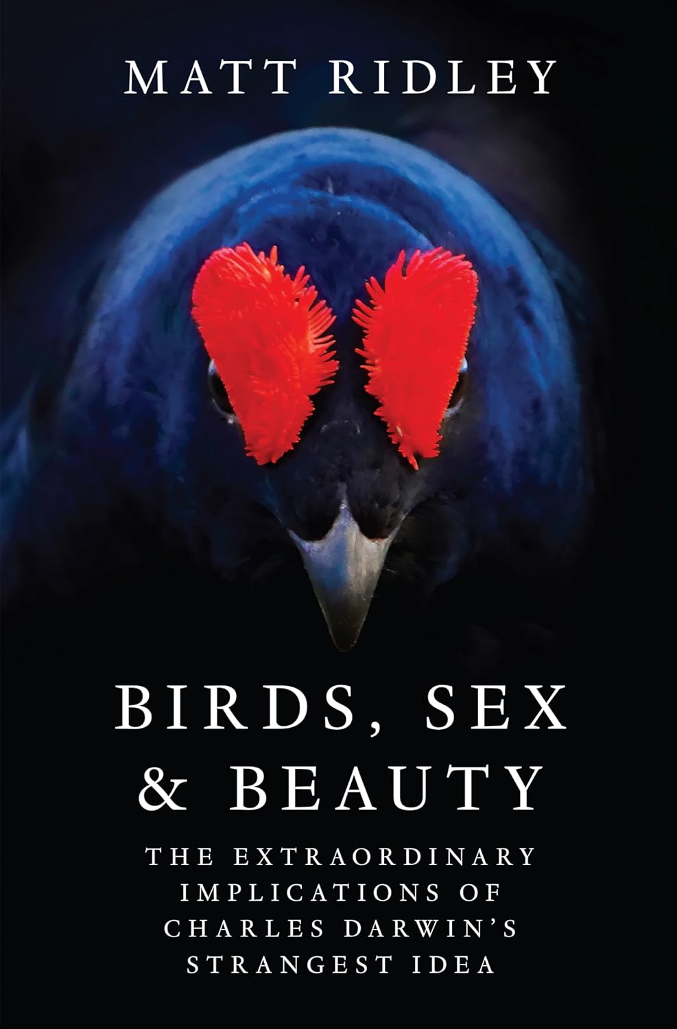 Birds, Sex and Beauty: The Extraordinary Implications of Charles Darwin's Strangest Idea baixar livro de graça