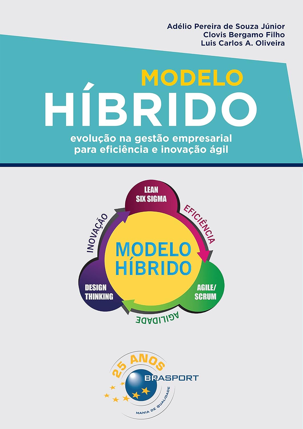 Modelo Híbrido: evolução na gestão empresarial para eficiência e inovação ágil baixar livro de graça