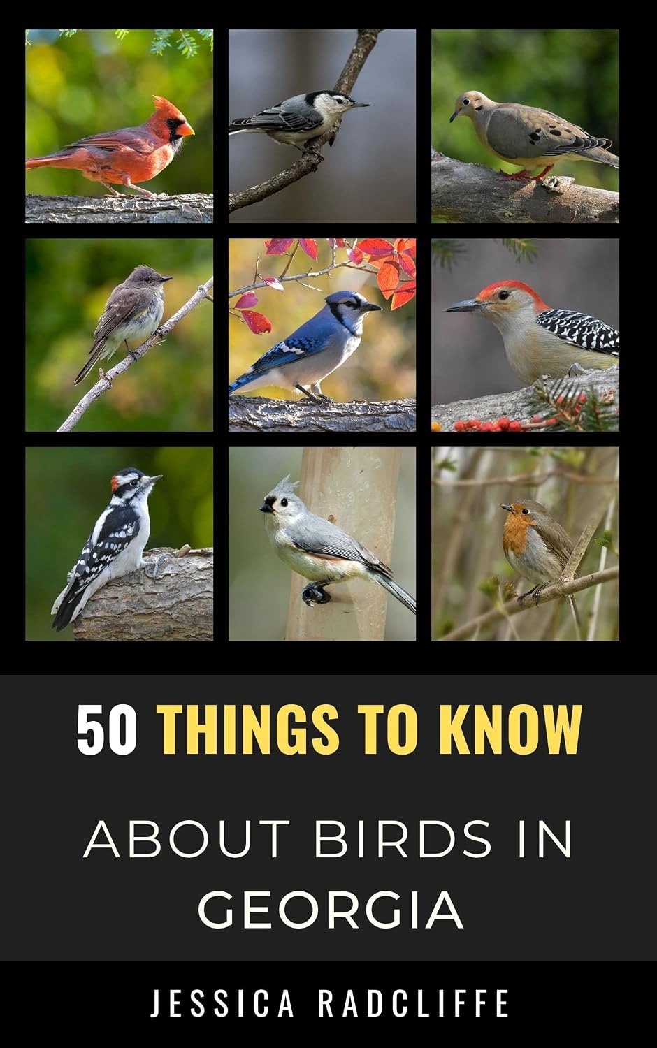 50 Things to Know About Birds in Georgia: Birdwatching Guide, Bird Identification, Local Species, & Backyard Birds (50 Things to Know About Birds & Birdwatching:... and regional bird books) (English Edition) baixar livro de graça
