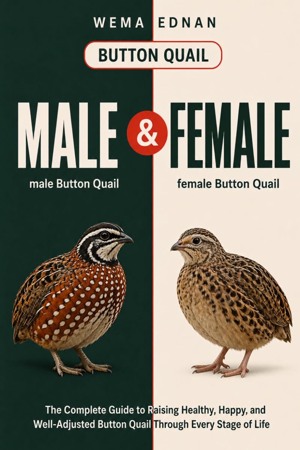 Button Quail: The Complete Guide to Raising Healthy, Happy, and Well-Adjusted Button Quail Through Every Stage of Life baixar livro de graça