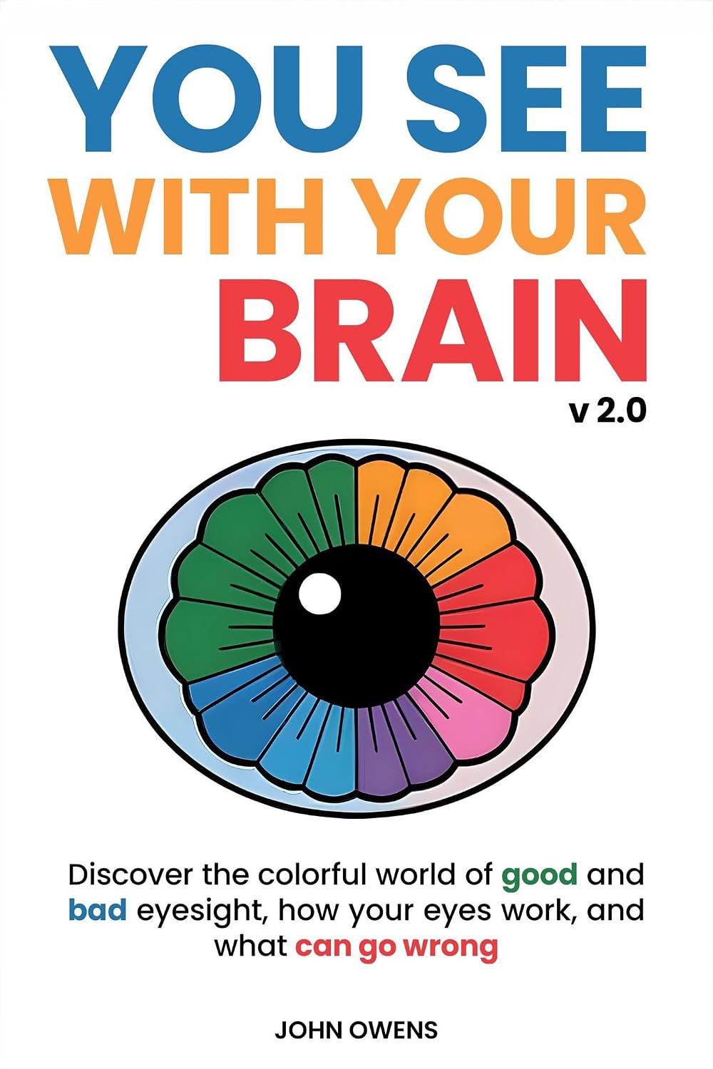 You See With Your Brain v2.0 (English Edition) baixar livro de graça