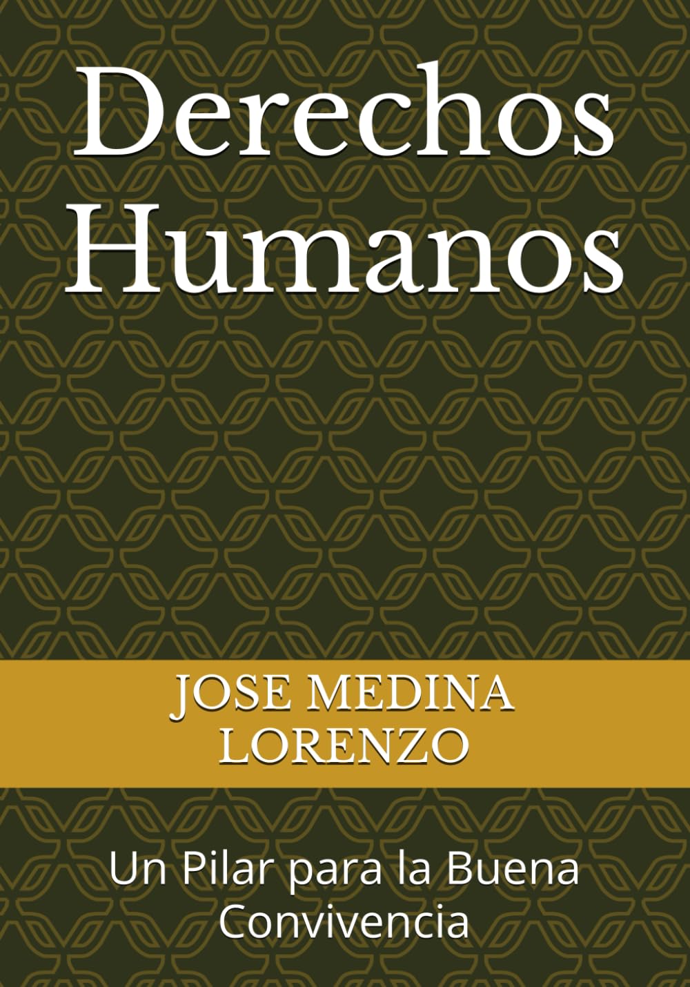 Derechos Humanos: Un Pilar para la Buena Convivencia (Spanish Edition) baixar o livro de graça