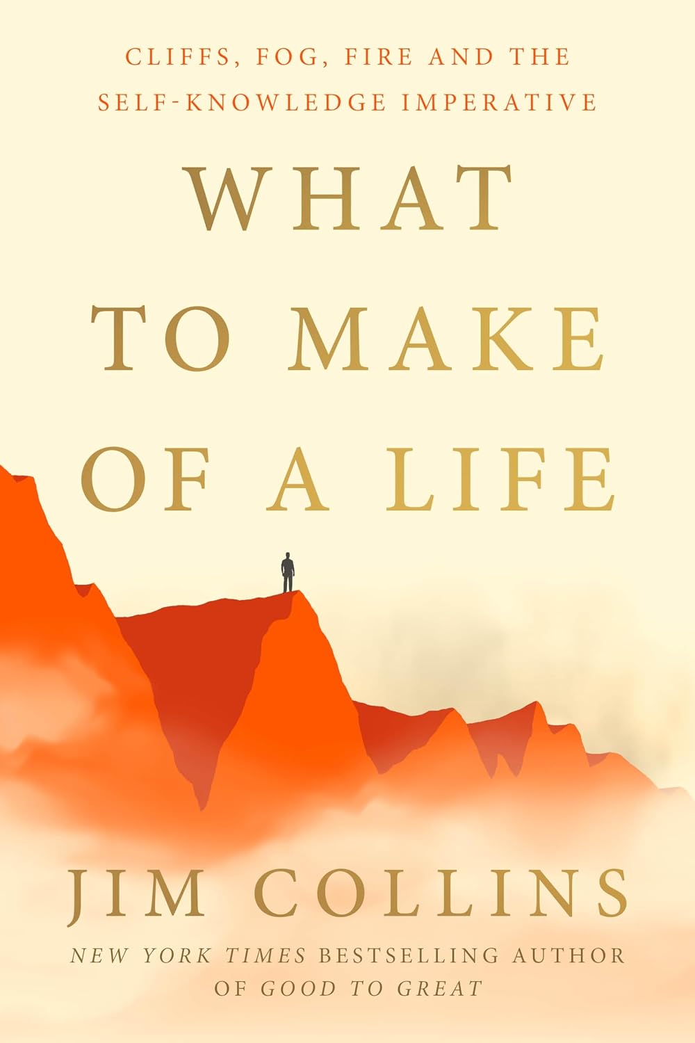 What to Make of a Life: Cliffs, Fog, Fire and the Self-Knowledge Imperative (English Edition) baixar o livro de graça