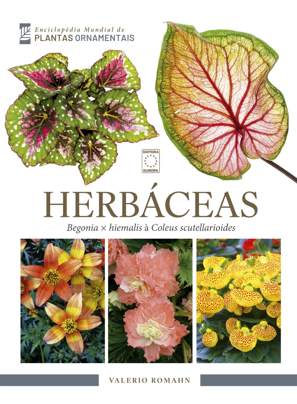 ler totalmente Enciclopédia Mundial de Plantas Ornamentais - Herbáceas: Begonia x hiemalis à Coleus scutellarioides