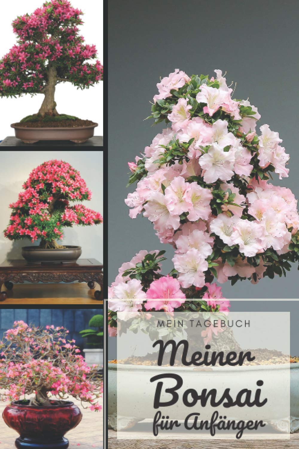 capítulo por capítulo baixar Das Tagebuch meines Bonsais für Anfänger: Diese Zeitschrift ermöglicht es Ihnen, das Wachstum Ihres Bonsai im Laufe der Zeit zu verfolgen. Dies ist ein ideales Logbuch, das Folgendes bietet