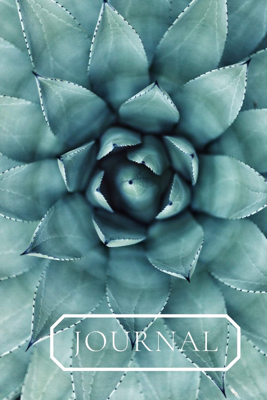capítulo por capítulo baixar Journal: Close up of a gorgeous succulent plant.. This notebook/Dairy will be a joy to write in or draw in. Lovely gift for women, teachers, gardeners and house plant keepers.