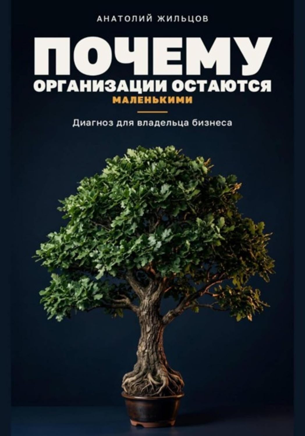 Почему организации остаются маленькими (Russian Edition) baixar livro de graça