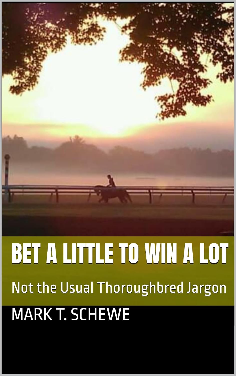 Bet a little to Win a lot: Not the Usual Thoroughbred Jargon (English Edition) baixar livro de graça