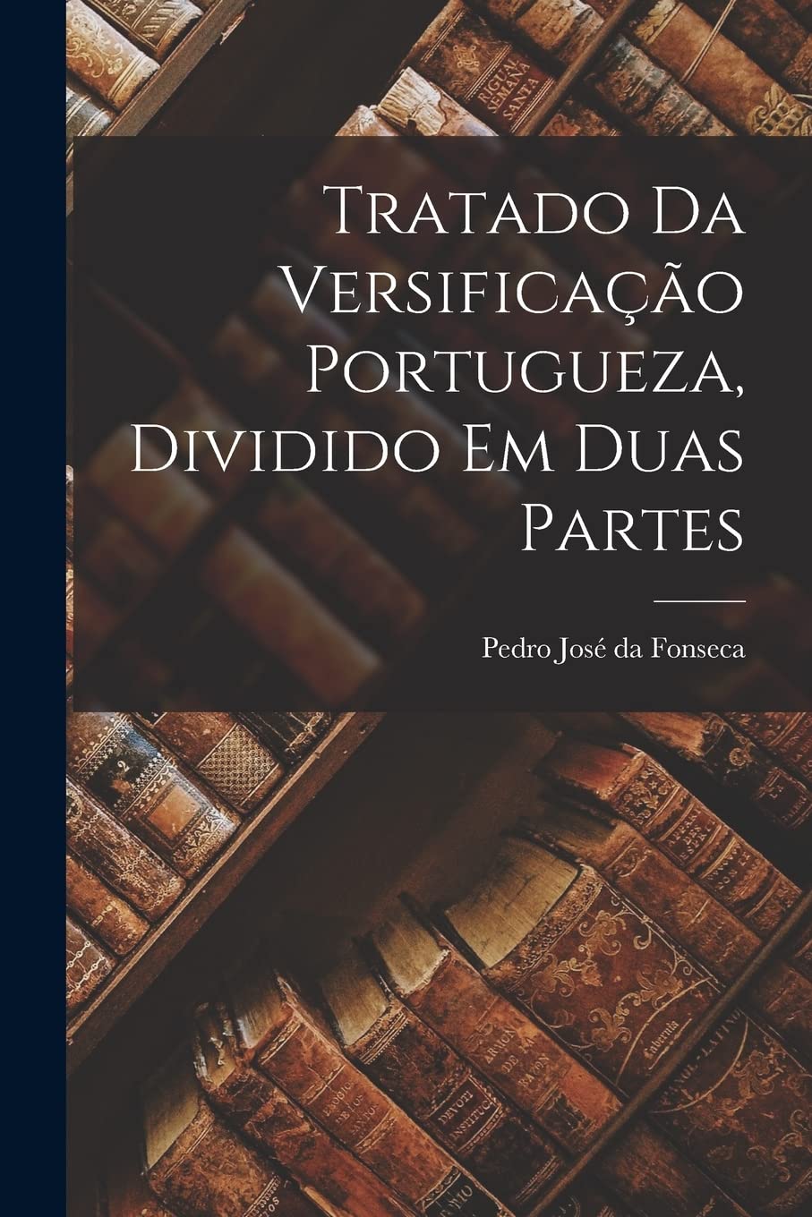 Tratado da versificação portugueza, dividido em duas partes baixar o livro de graça