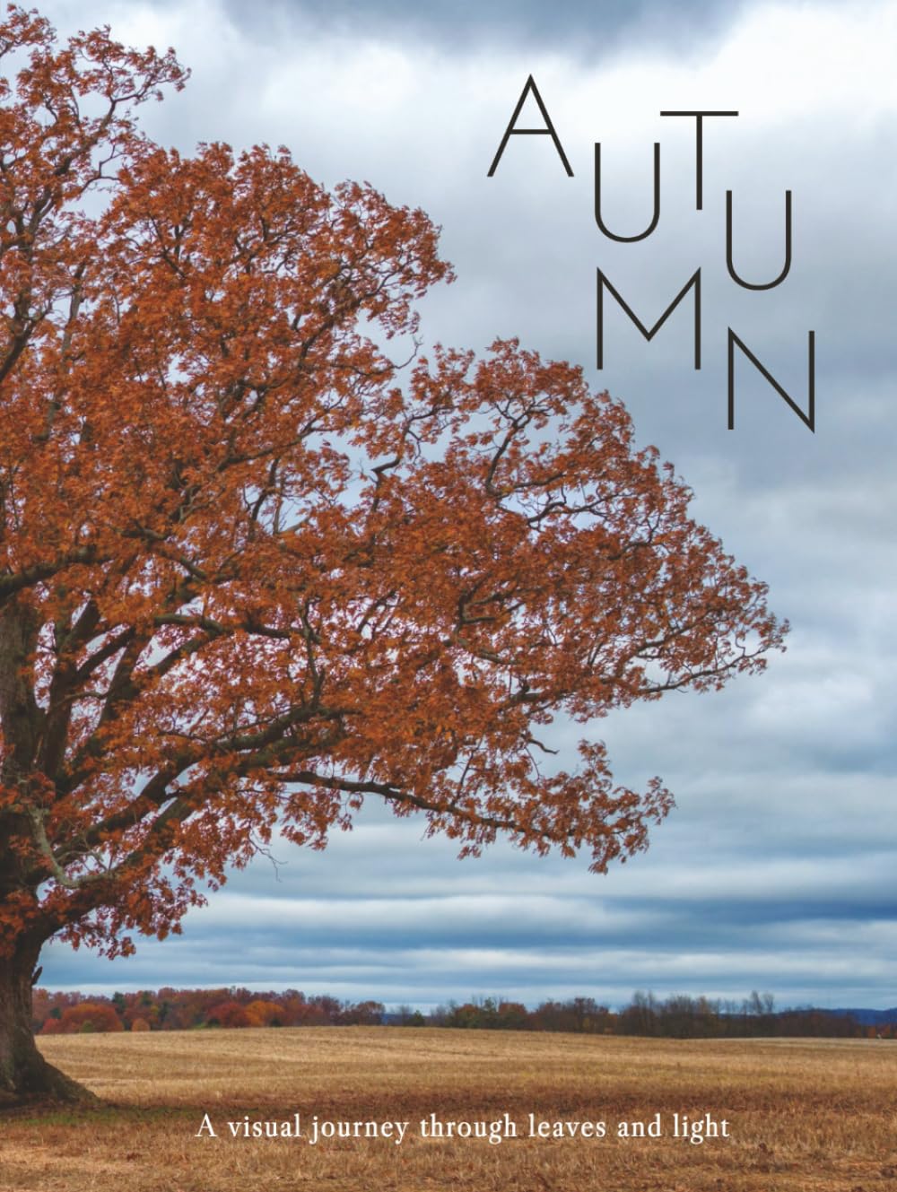 capítulo por capítulo baixar AUTUMN: A visual journey through leaves and light (THE COFFEE TABLE BOOKS)