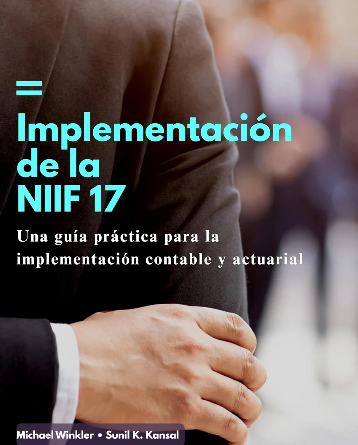 Implementación de la NIIF 17: Una guía práctica para contables y actuarios (Spanish Edition) baixar livro de graça
