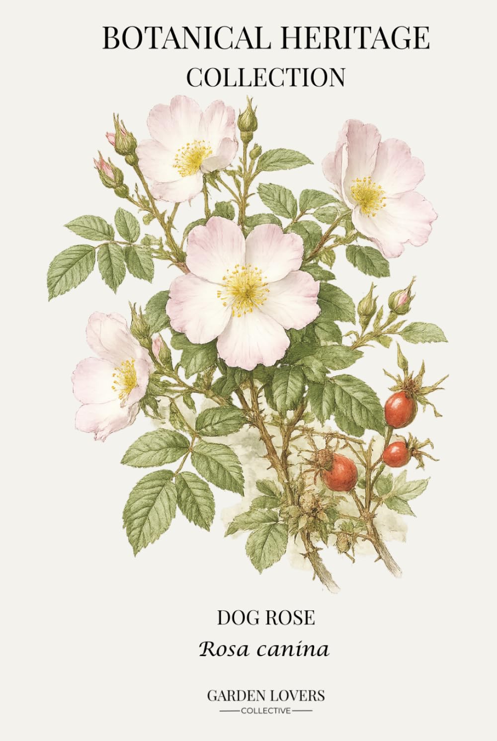 Dog Rose: A Botanical Heritage Collection Notebook Featuring Rosa canina baixar o livro de graça