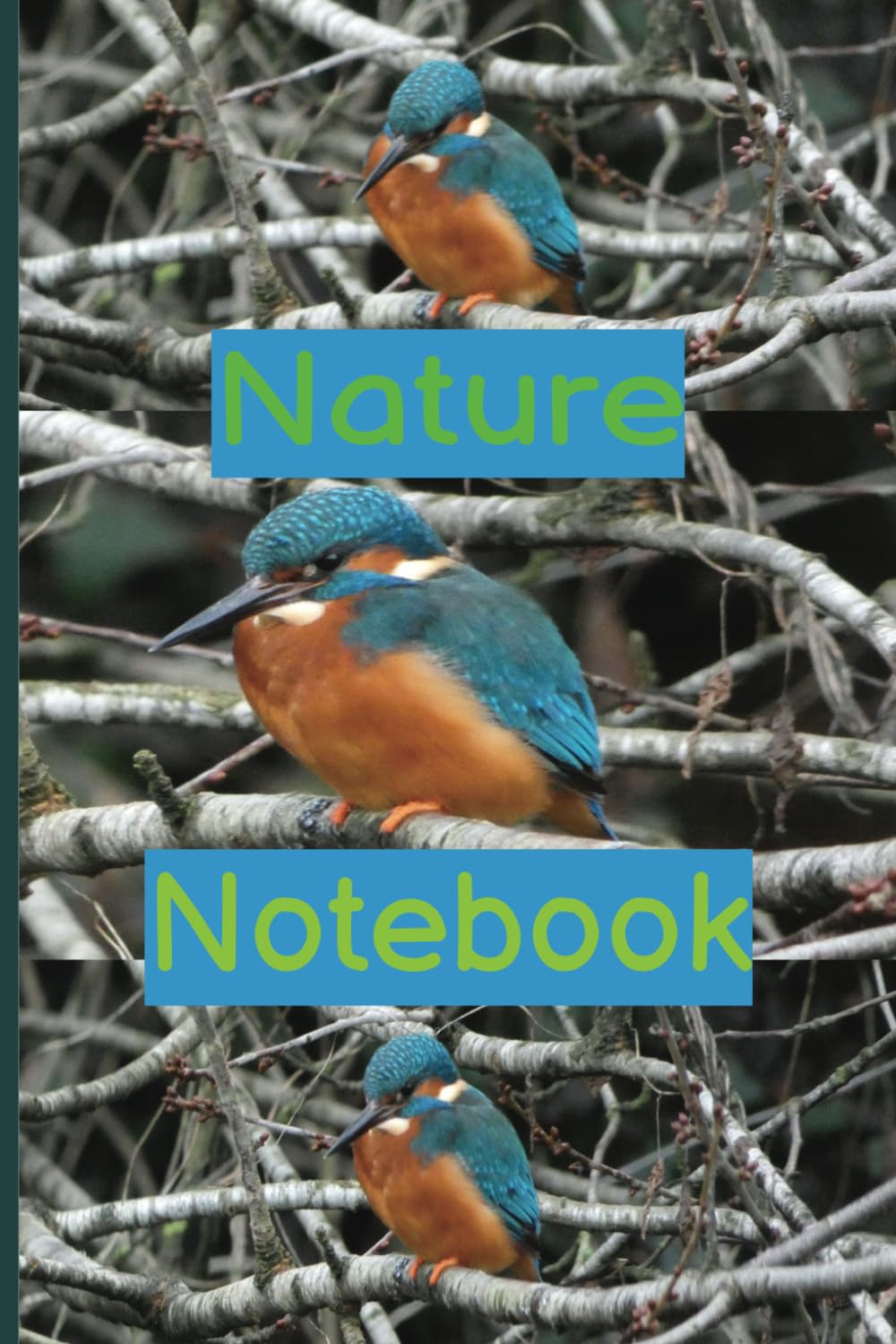 Composition notebook with colourful illustration of Kingfisher for the nature lovers 6x9 inch notebook Diary for nature lovers: Kingfisher edition baixar livro de graça