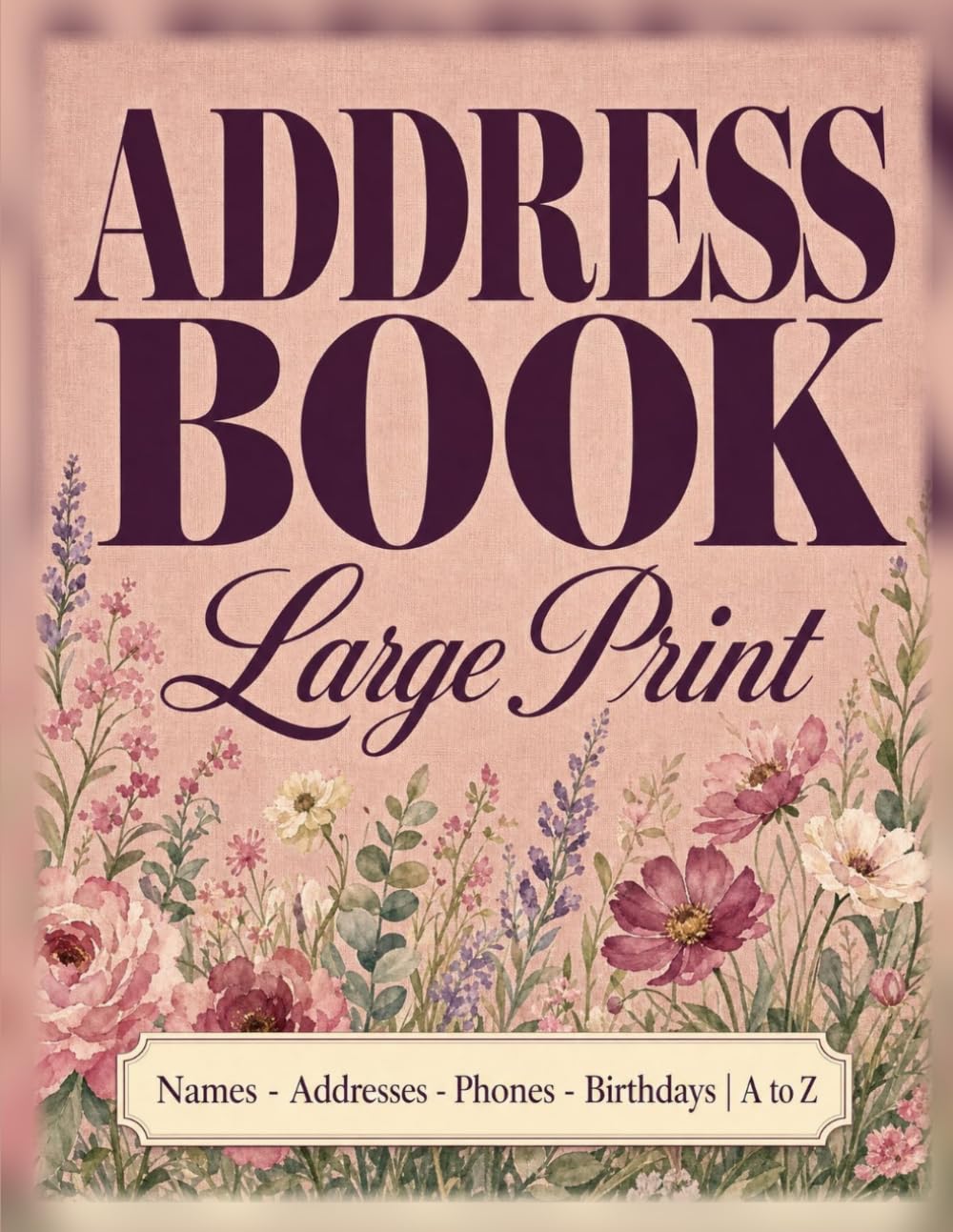 capítulo por capítulo baixar Address Book Large Print: Alphabetical A-Z Tabs with Name, Address, Home and Mobile Phone, Email and Birthday, Easy to Read for Seniors