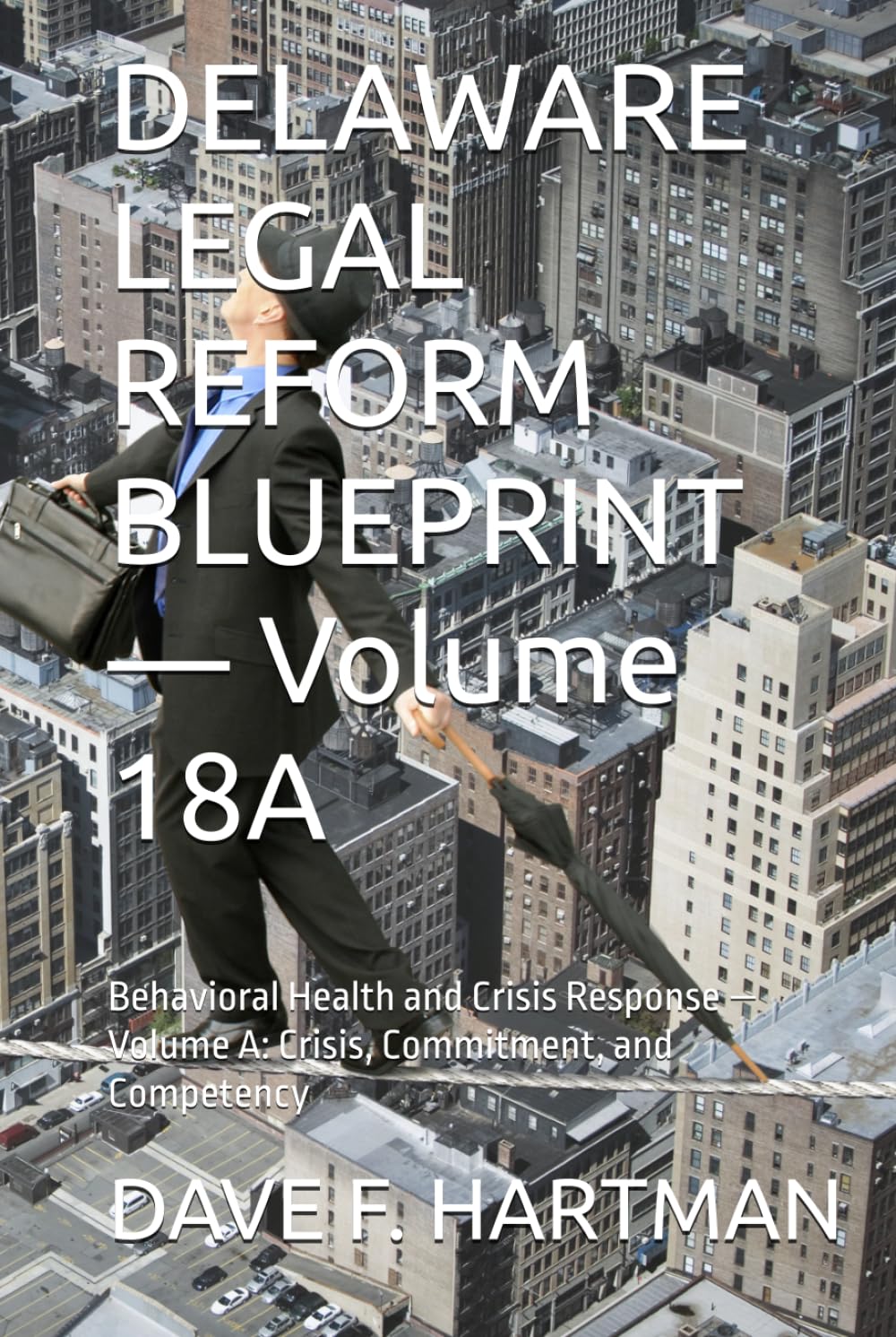 DELAWARE LEGAL REFORM BLUEPRINT — Volume 18A: Behavioral Health and Crisis Response — Volume A: Crisis, Commitment, and Competency (Delaware Legal Reform Series) baixar o livro de graça