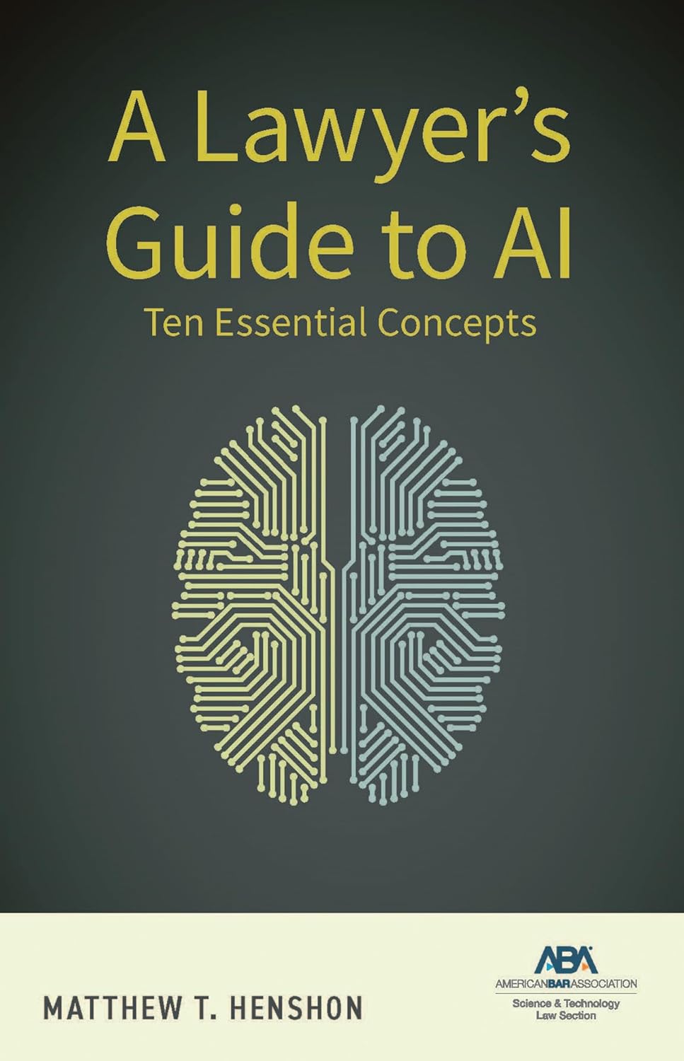 capítulo por capítulo baixar A Lawyer's Guide to AI: Ten Essential Concepts (English Edition)