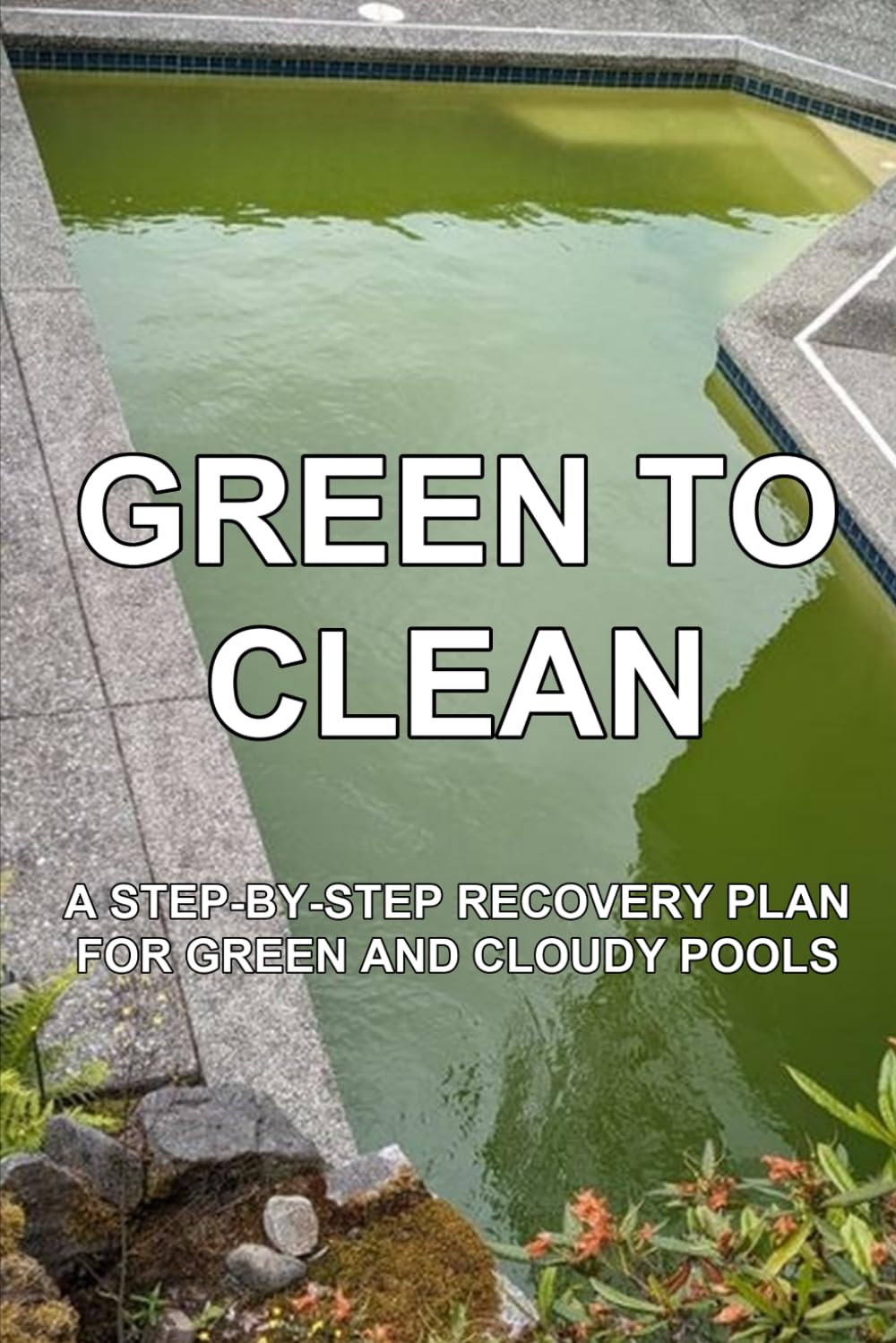 capítulo por capítulo baixar Green to Clean: A Step-by-Step Recovery Plan for Green and Cloudy Pools (The Practical Pool Owner)
