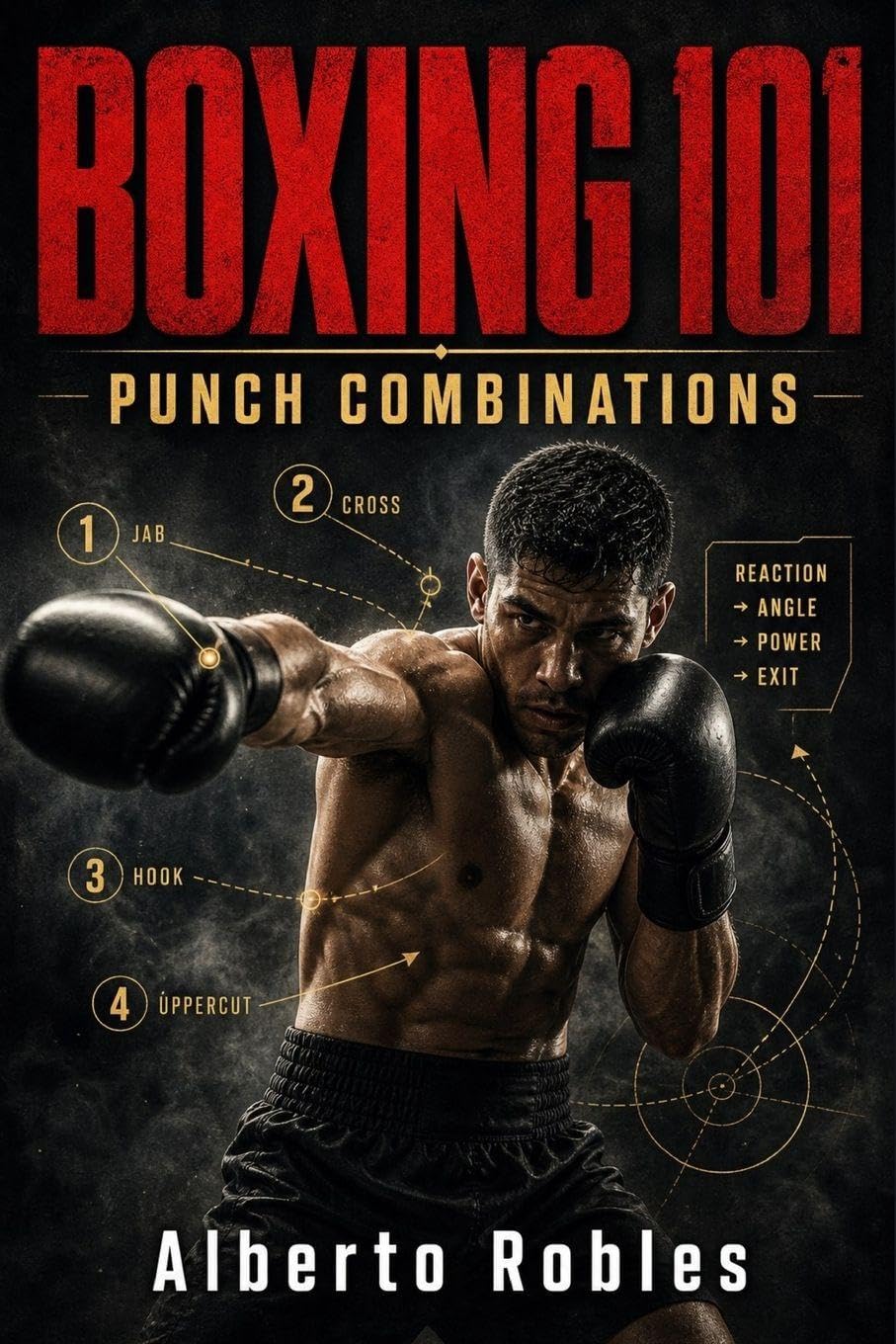 Boxing 101: Punch Combinations baixar livro de graça