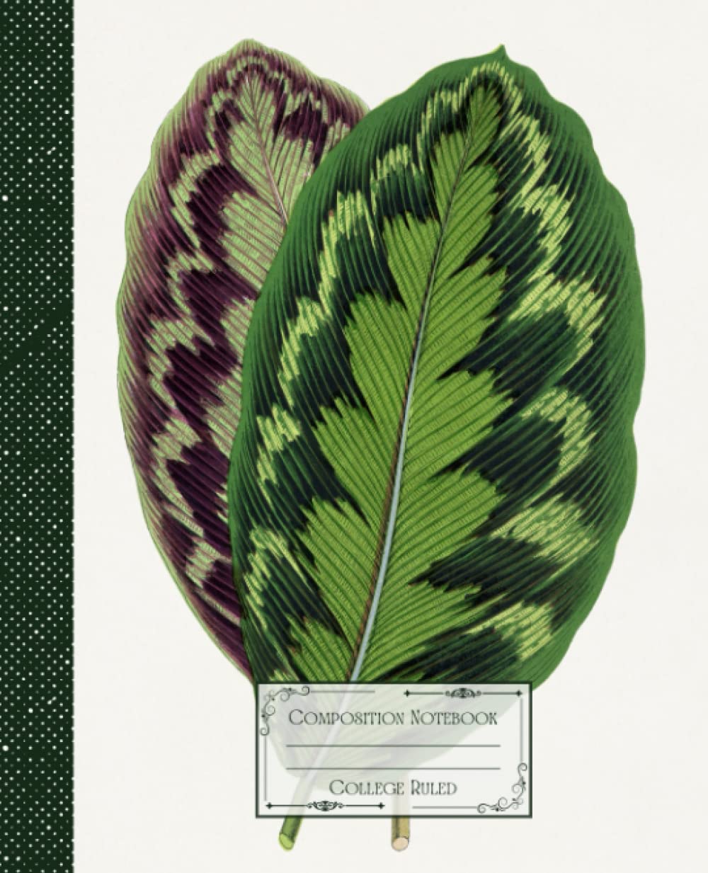 ler totalmente Vintage Tropical Leaf Composition Notebook College Ruled: Vintage Tropical Illustration | Classic Composition Notebook for Writing and Journaling |... for College Students, School and Work.