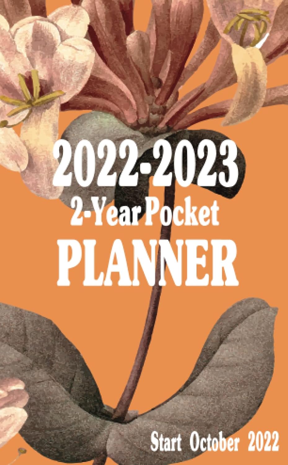 capítulo por capítulo baixar 2022-2023 2-Year Pocket Planner Start October 2022: 15 month, October 2022 to December 2023, monthly schedule organizer, Autumn vintage floral style cover