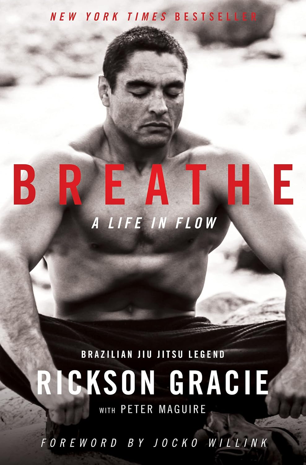Breathe: A Life in Flow baixar o livro de graça